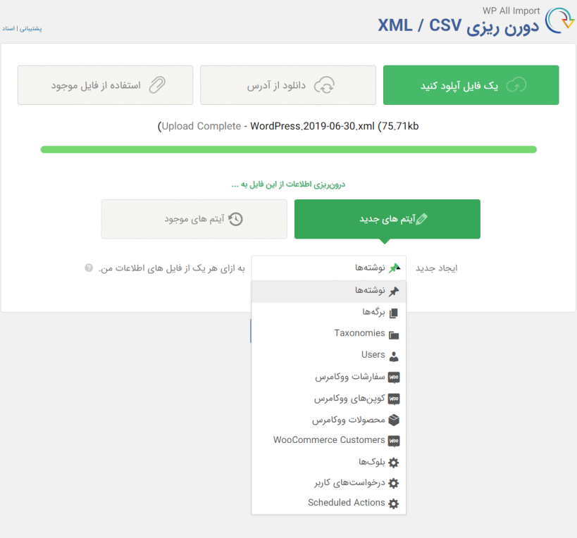 آپلود فایل درون ریز با افزونه WP All Import