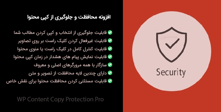 افزونه محافظت و جلوگیری از کپی محتوا | WP Content Copy Protection Pro