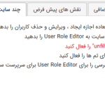 تنظیمات چند سایته افزونه User Role Editor Pro