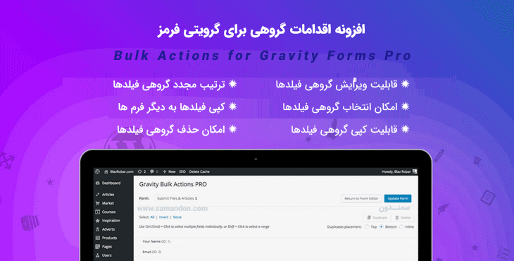 افزونه اقدامات گروهی برای گرویتی فرمز | Bulk Actions for Gravity Forms Pro