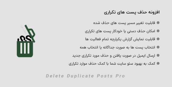 افزونه حذف پست های تکراری | Delete Duplicate Posts Pro