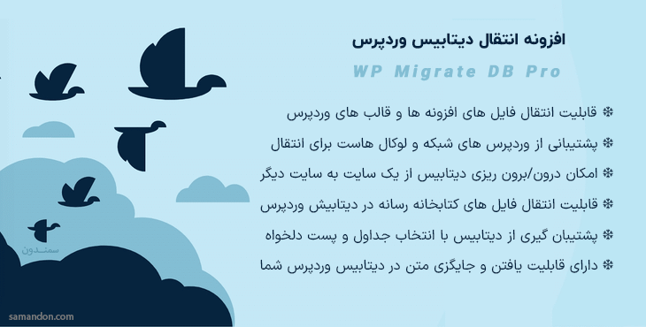 افزونه انتقال و پشتیبان گیری دیتابیس وردپرس | WP Migrate DB Pro