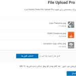 پیشنمایش تصاویر آپلودی در افزونه Gravity Perks File Upload Pro