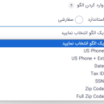 ورودی الگوی استاندارد برای ورودی الگو در افزونه گرویتی فرمز