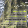 افزونه بگو چی؟ پرمیوم | تغییر رشته افزونه ها و قالب های وردپرس | Say What Pro