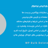 افزونه حذف گروهی وردپرس پرمیوم | WP Bulk Delete Pro