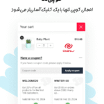 کوپن ها در افزونه WooCommerce Flying Cart