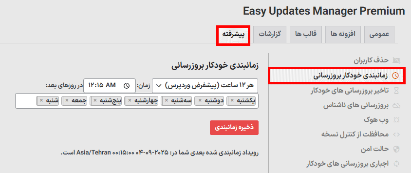 زمان بندی بروزرسانی ها در افزونه مدیریت آسان بروزرسانی های وردپرس پرمیوم
