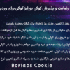 افزونه رضایت و پذیرش کوکی بورلبز کوکی برای وردپرس | Borlabs Cookie