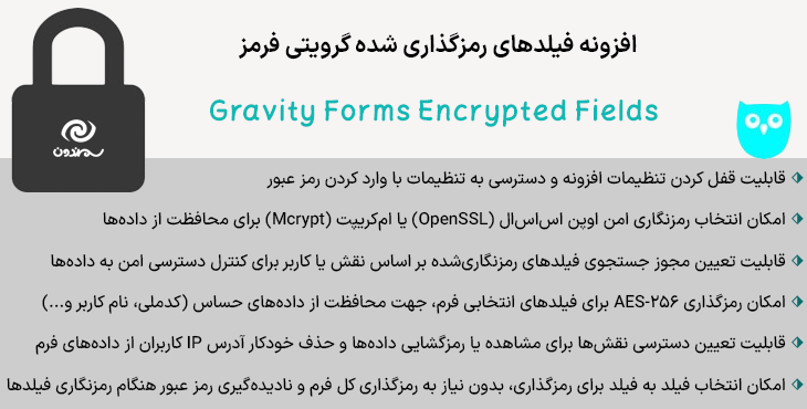 افزونه فیلدهای رمزگذاری شده گرویتی فرمز | Gravity Forms Encrypted Fields