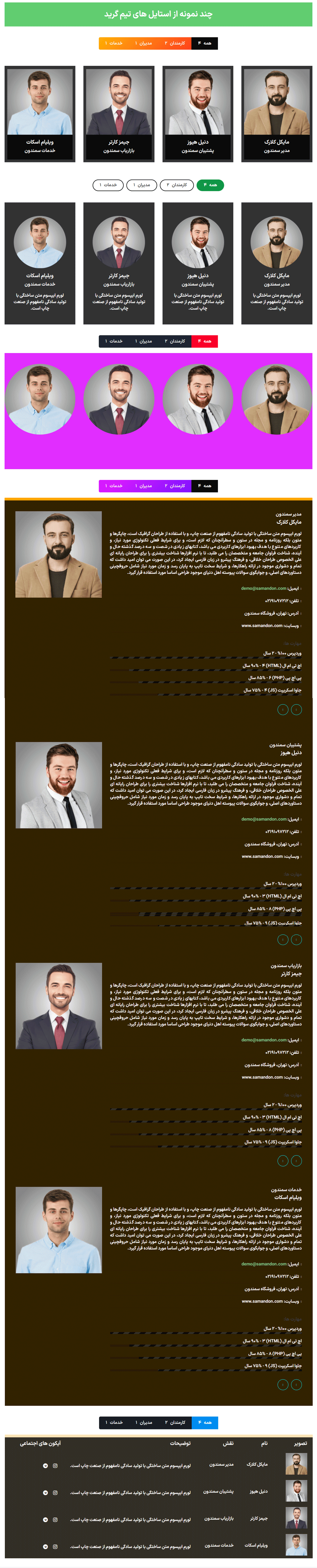 پیش نمایش کاربری افزونه Team Grid - Team Member Showcase WordPress Plugin & Team Editor