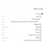ویرایشگر تصویر در افزونه WPIDE - File Manager & Code Editor Pro