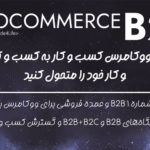 افزونه WooCommerce B2B