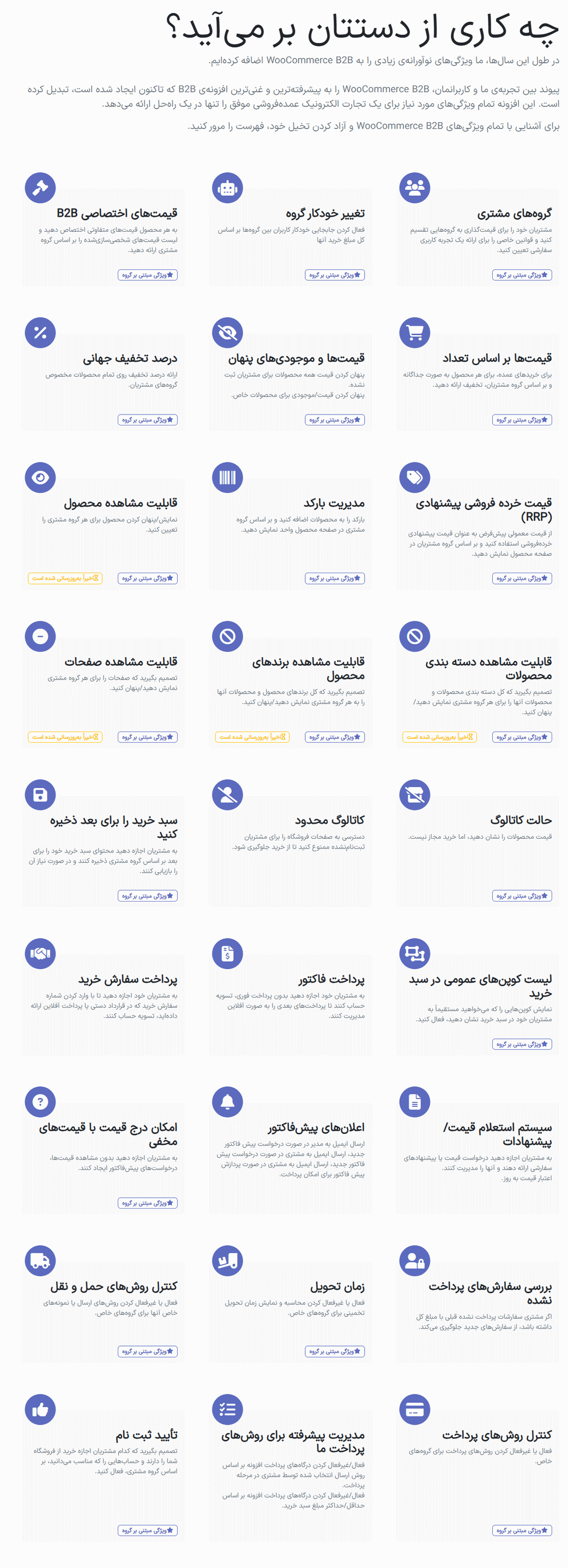 ویژگی های کاربردی افزونه WooCommerce B2B