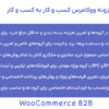 افزونه ووکامرس کسب و کار به کسب و کار | WooCommerce B2B