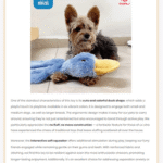 بررسی محصول آمازون در افزونه ایموژن پرو | جعبه ابزار هوش مصنوعی وردپرس