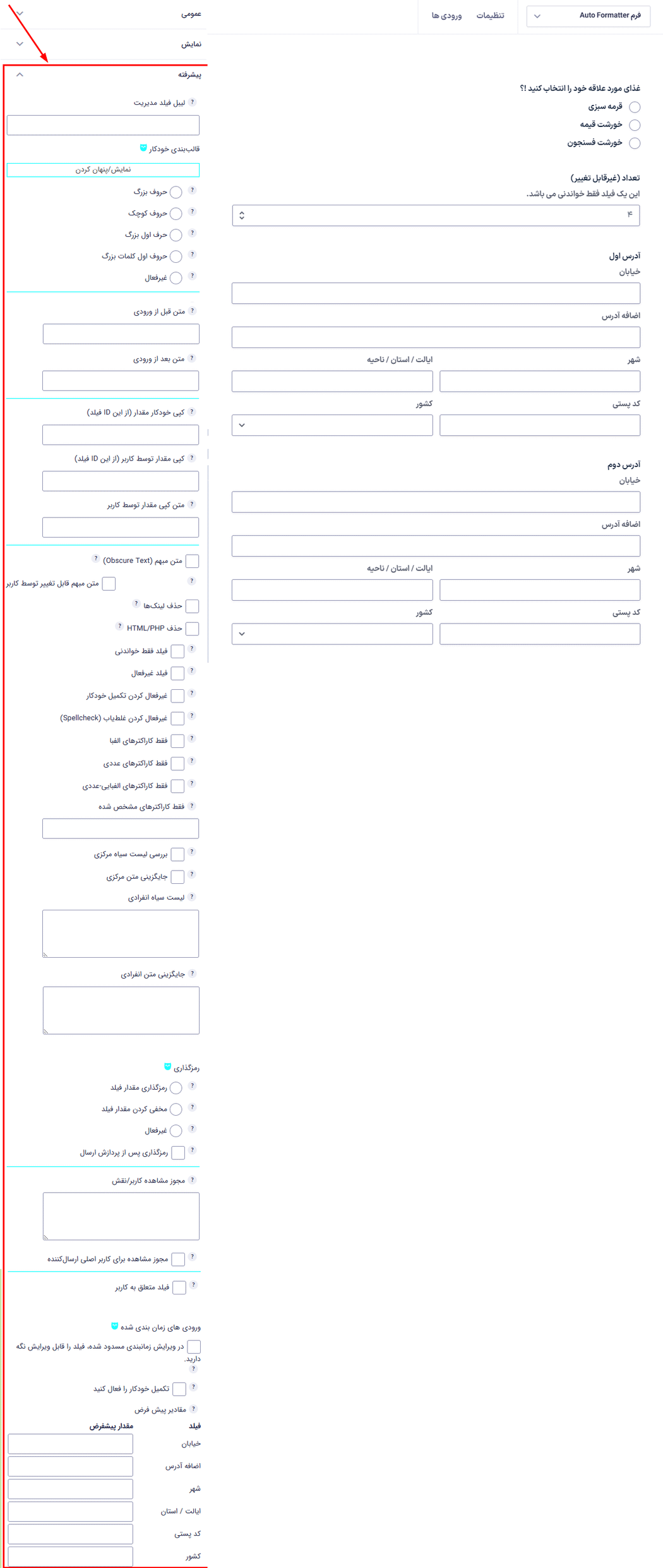 افزونه Gravity Forms Auto Formatter