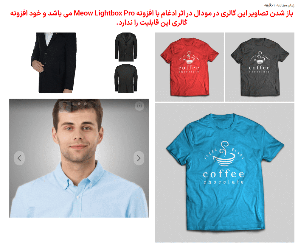 پیش نمایش کاربری افزونه Meow Gallery Pro